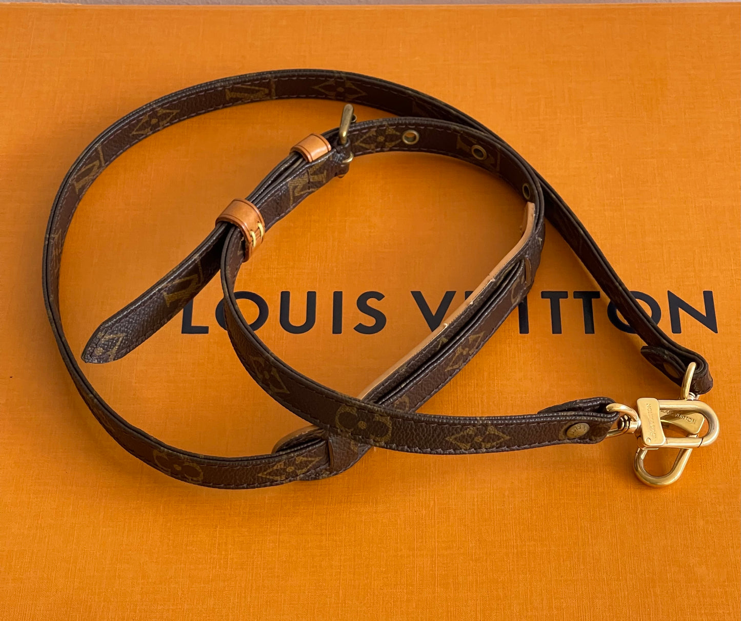 Borsa LOUIS VUITTON