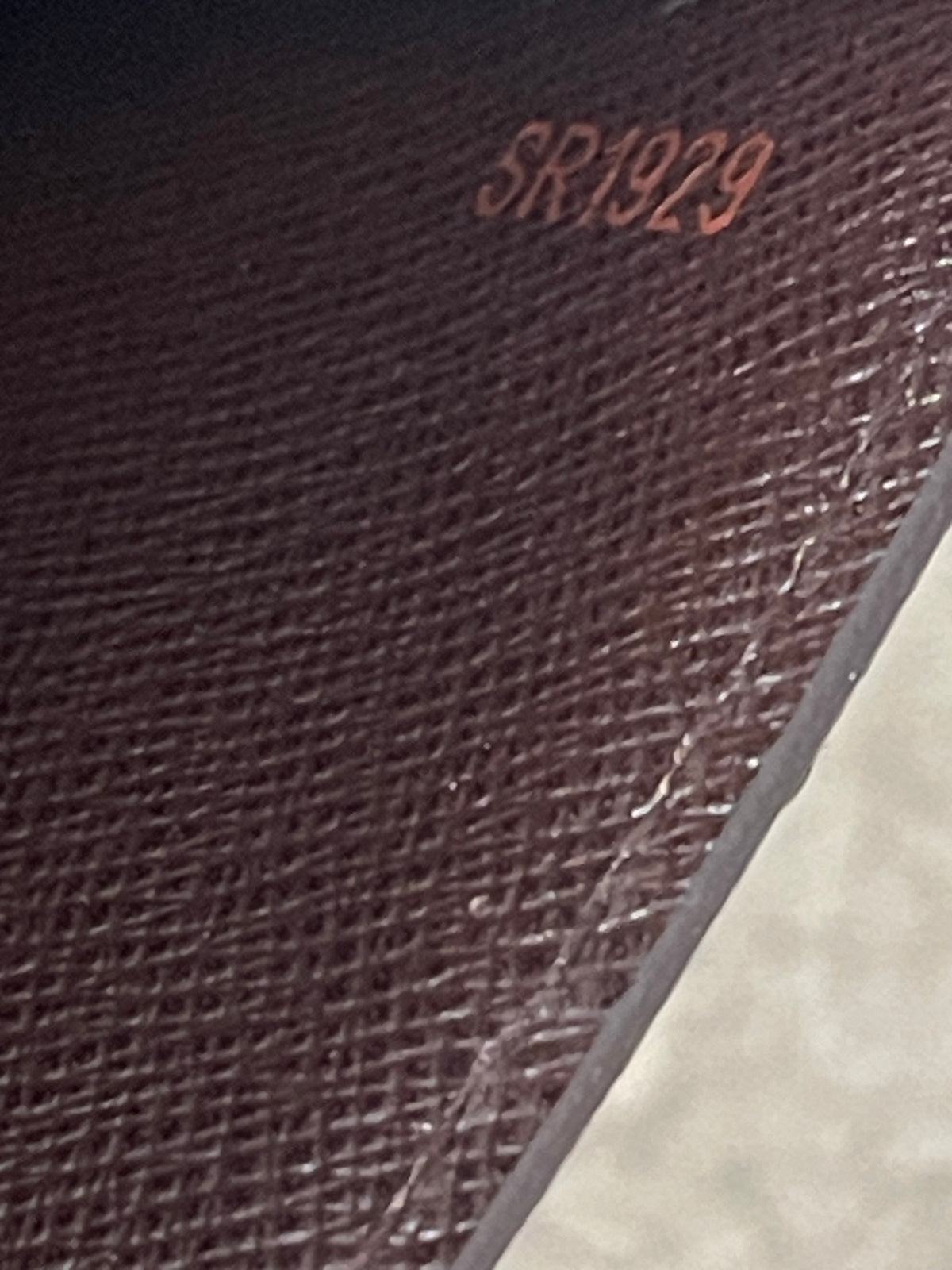 Borsa LOUIS VUITTON